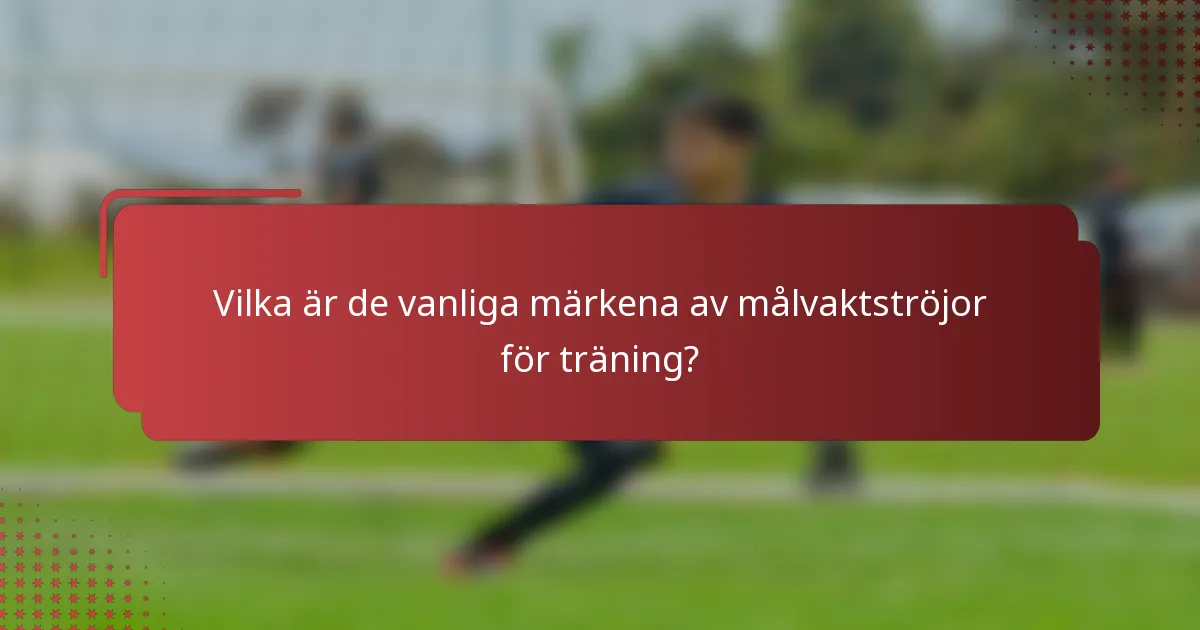 Vilka är de vanliga märkena av målvaktströjor för träning?