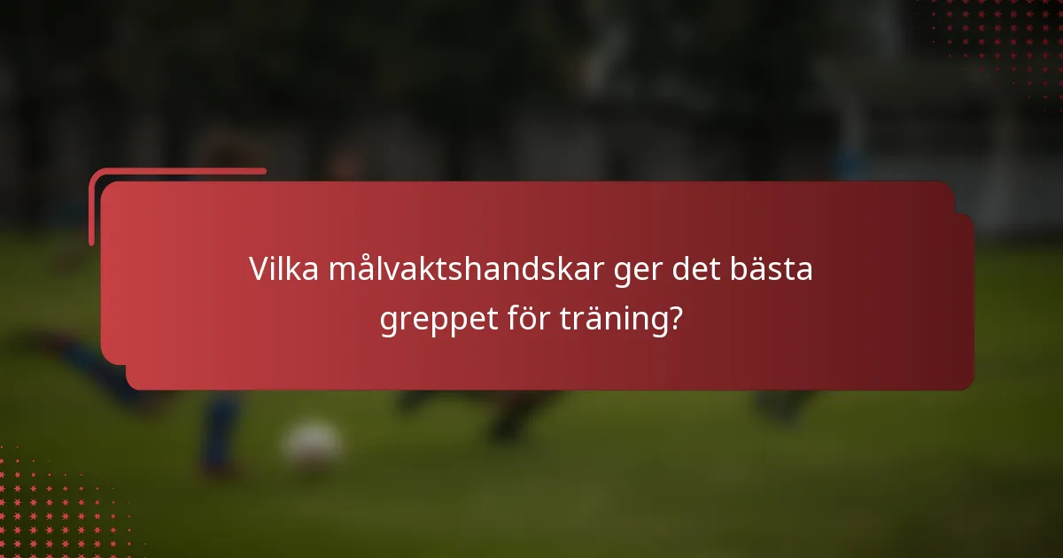 Vilka målvaktshandskar ger det bästa greppet för träning?