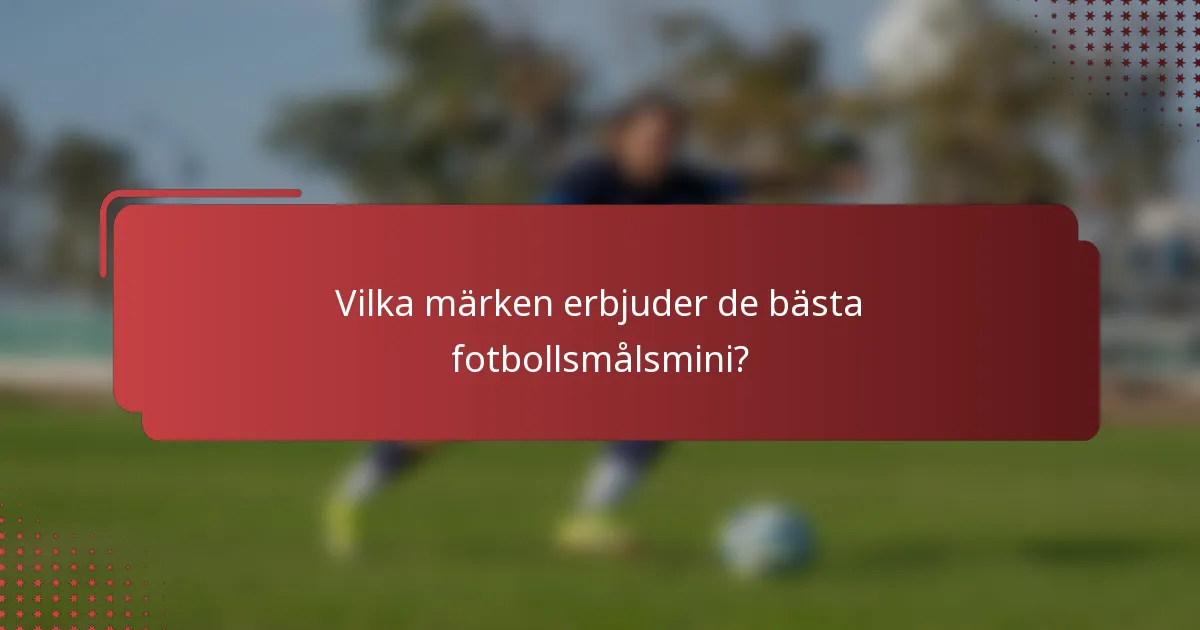 Vilka märken erbjuder de bästa fotbollsmålsmini?