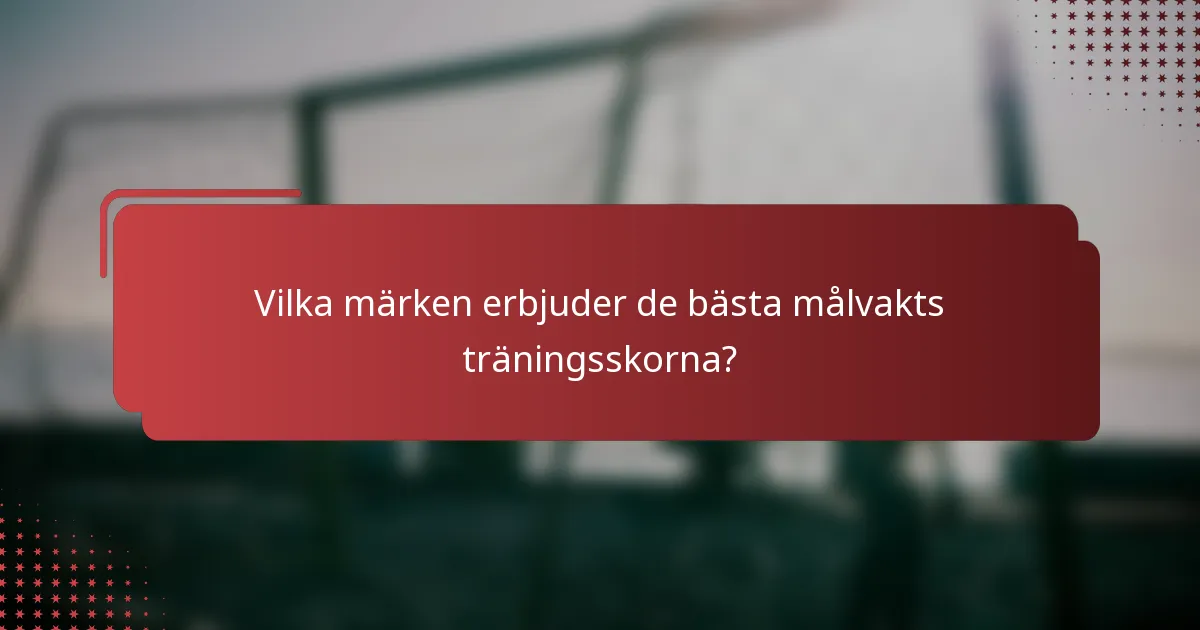 Vilka märken erbjuder de bästa målvakts träningsskorna?
