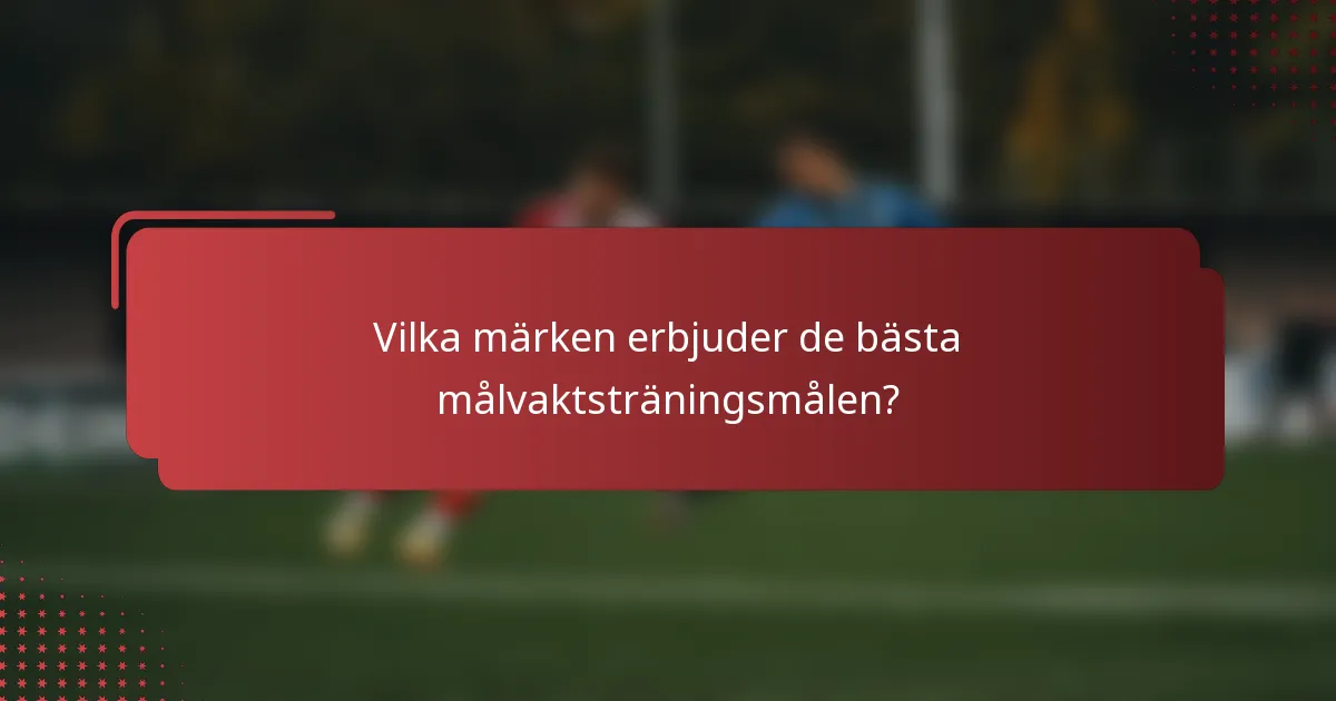 Vilka märken erbjuder de bästa målvaktsträningsmålen?