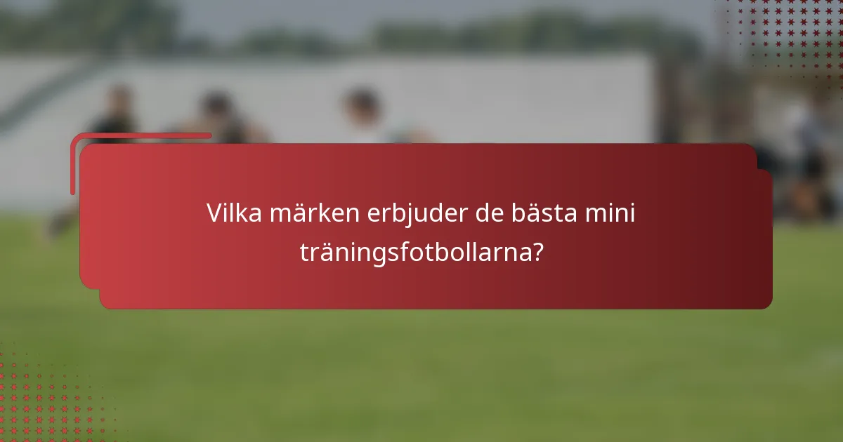 Vilka märken erbjuder de bästa mini träningsfotbollarna?